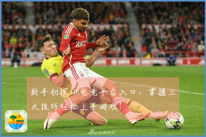 新手初探im电竞平台入口，掌握三大技巧轻松上手游戏！