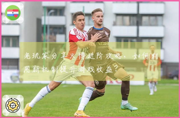 老玩家分享火博进阶攻略，如何利用新机制提升游戏收益？